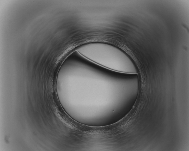 X0000103470530200809121122