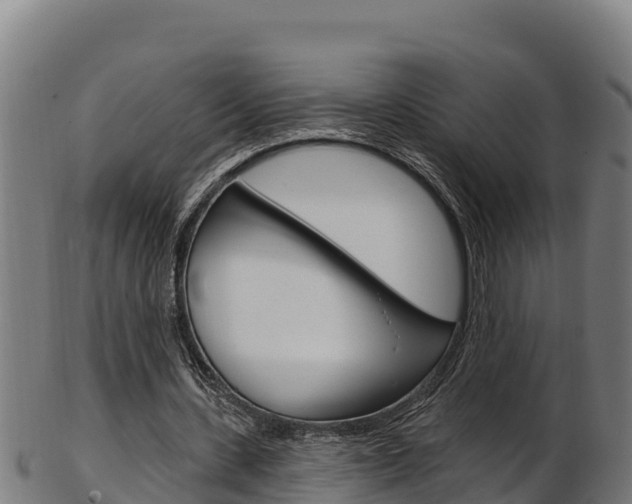X0000103470531200809121122