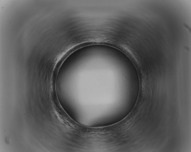 X0000103470532200809121122