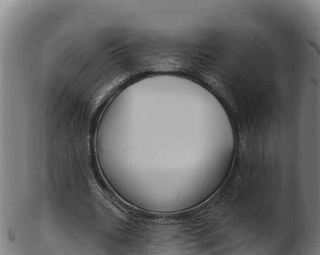X0000103470535200809121122