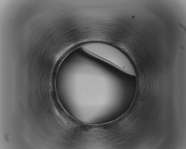 X0000103470536200809121122