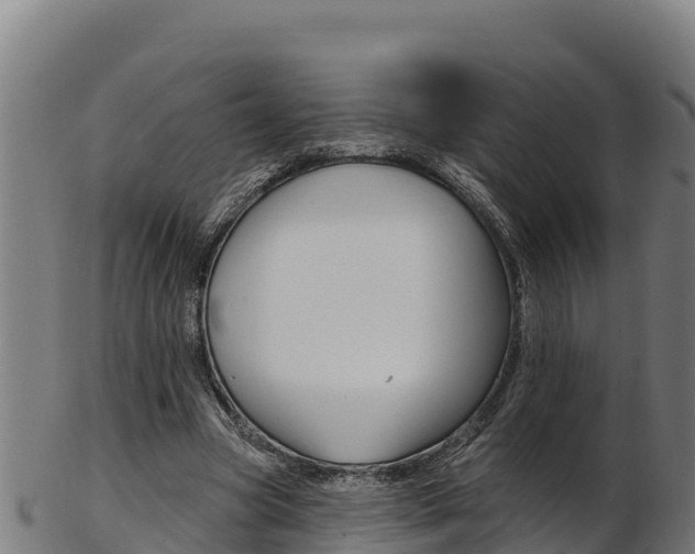 X0000103470537200809121122