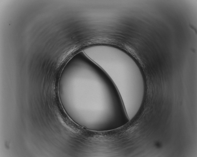 X0000103470538200809121122