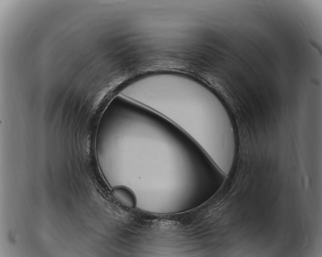 X0000103470539200809121122
