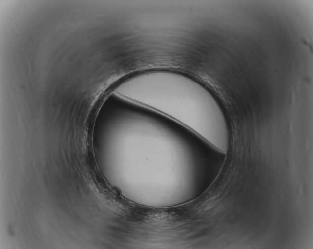X0000103470540200809121122