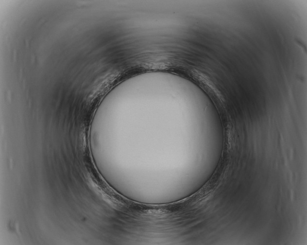 X0000103470541200809121122