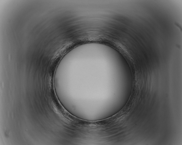 X0000103470542200809121122
