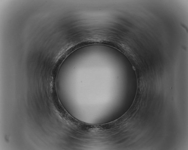 X0000103470544200809121122