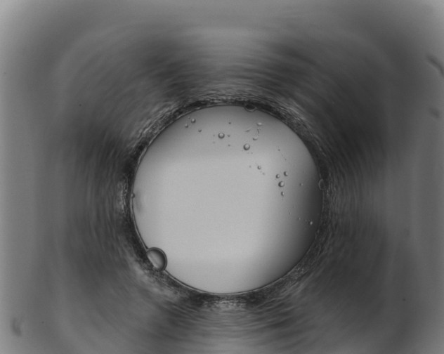 X0000103470546200809121122