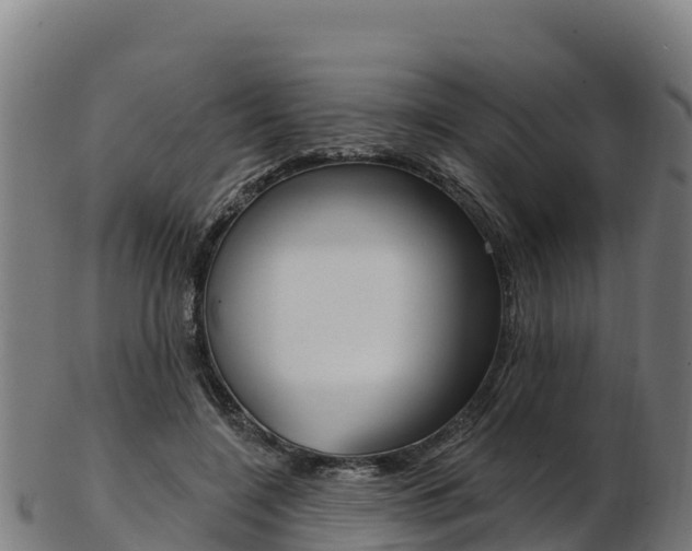 X0000103470548200809121122