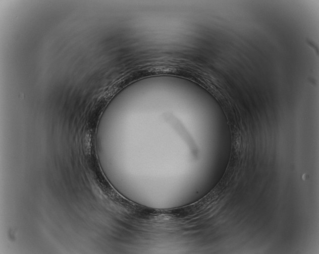 X0000103470551200809121122