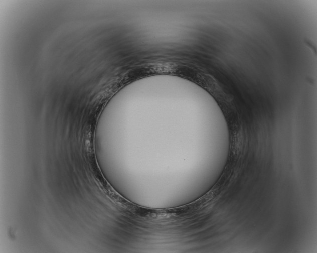 X0000103470553200809121122