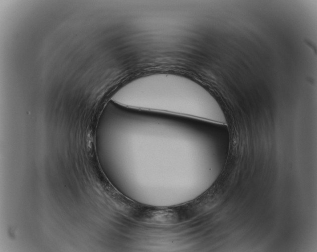 X0000103470555200809121122