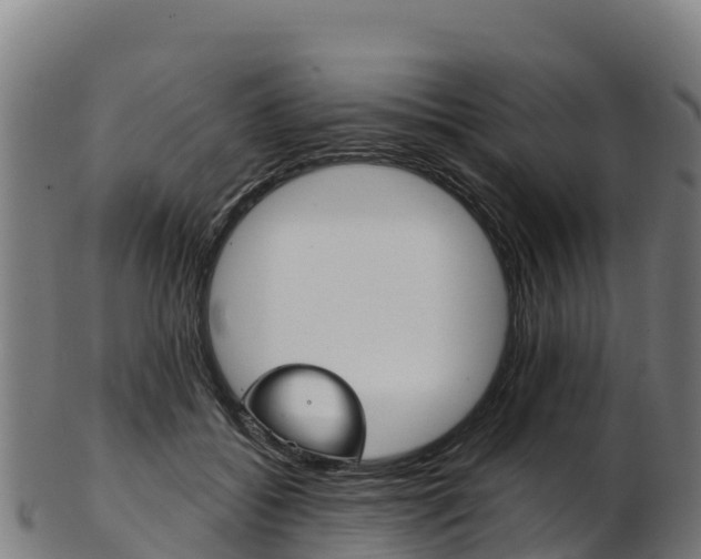 X0000103470556200809121122