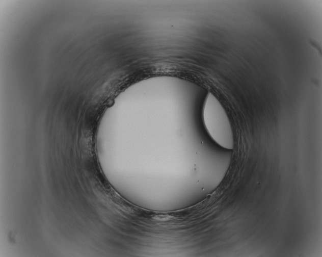 X0000103470557200809121122
