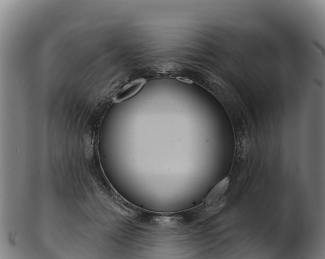 X0000103470558200809121122