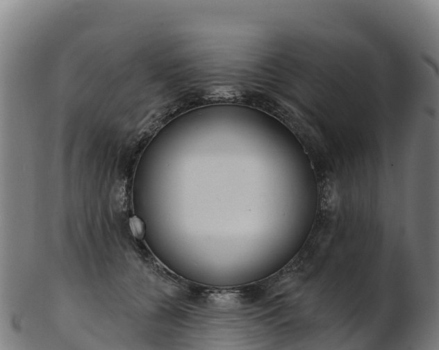 X0000103470560200809121122