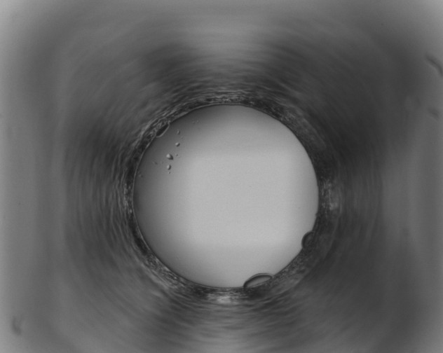 X0000103470564200809121122