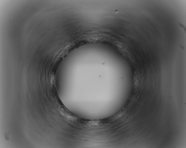 X0000103470574200809121122