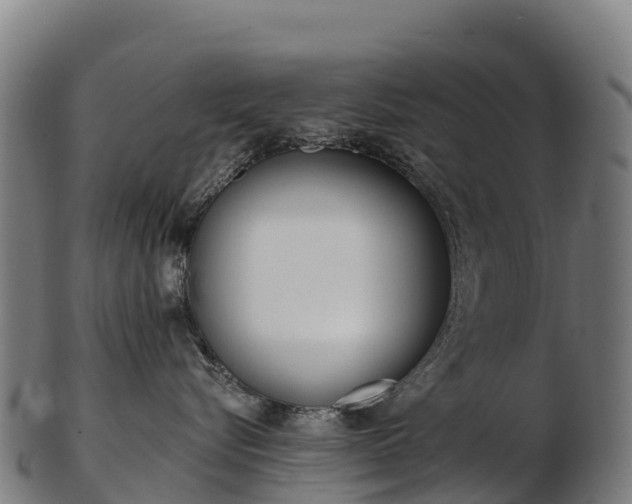 X0000103470576200809121122