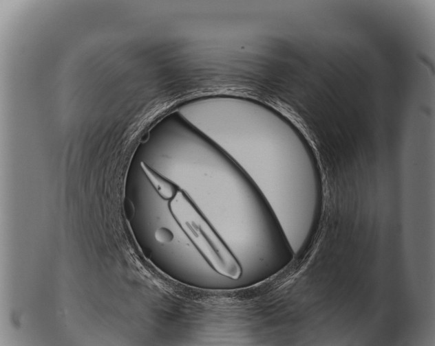 X0000103470577200809121122