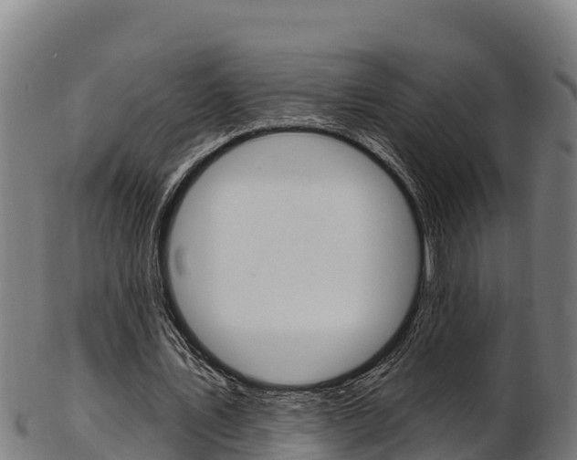 X0000103470579200809121122
