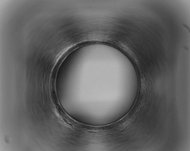 X0000103470580200809121122