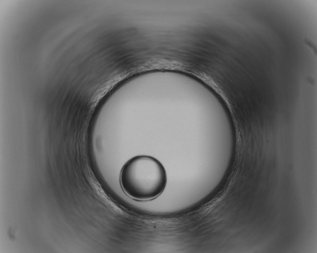 X0000103470581200809121122