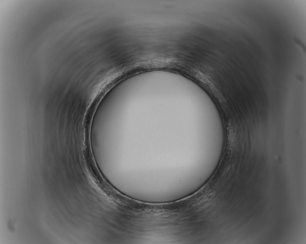 X0000103470582200809121122