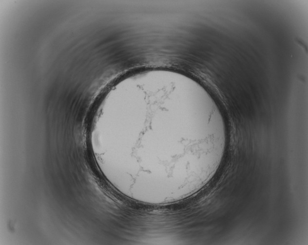X0000103470584200809121122