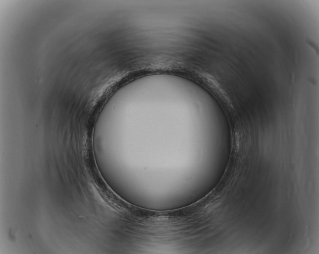 X0000103470588200809121122