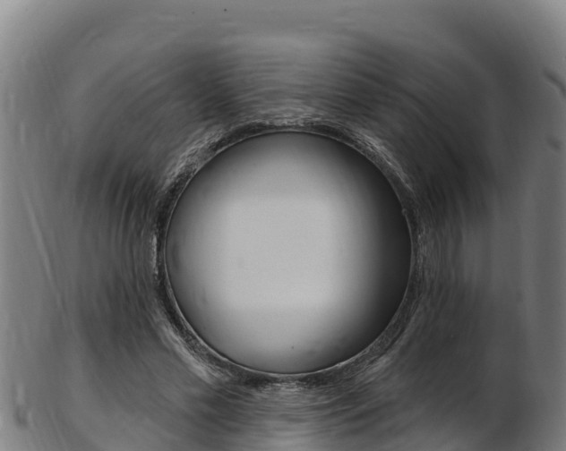X0000103470589200809121122