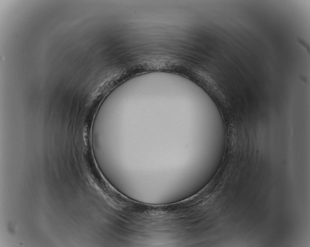 X0000103470590200809121122