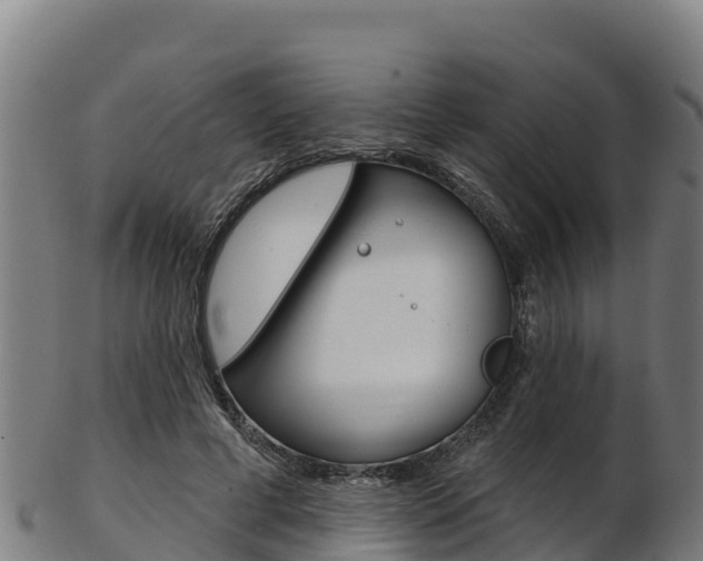 X0000103470593200809121122