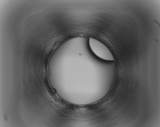 X0000103470594200809121122