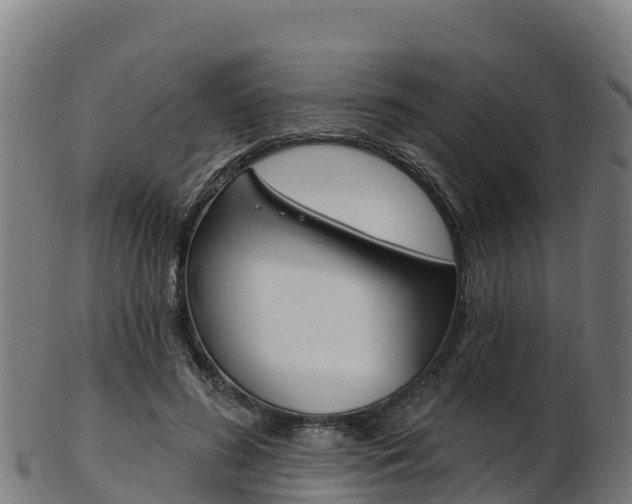 X0000103470596200809121121