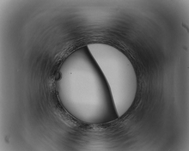 X0000103470601200809121121