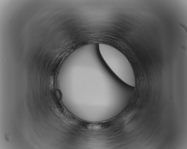 X0000103470602200809121121