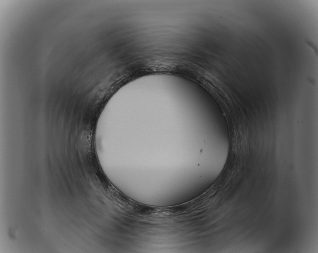 X0000103470604200809121121
