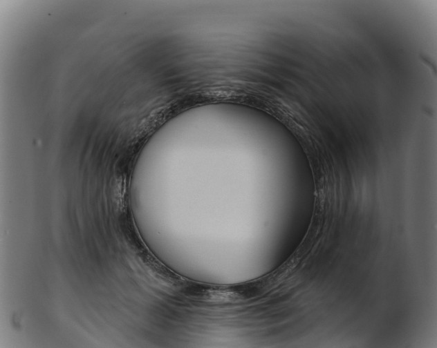 X0000103470605200809121121