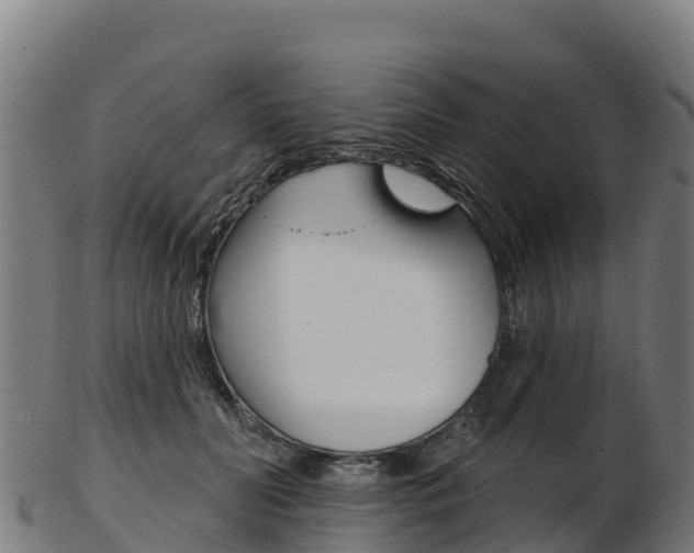 X0000103470606200809121121