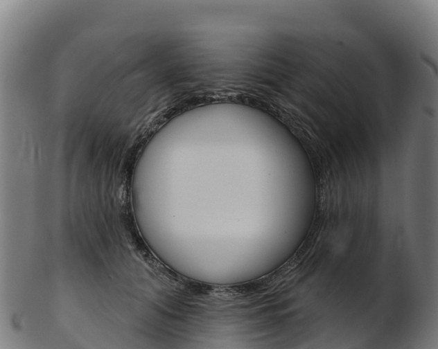 X0000103470608200809121121