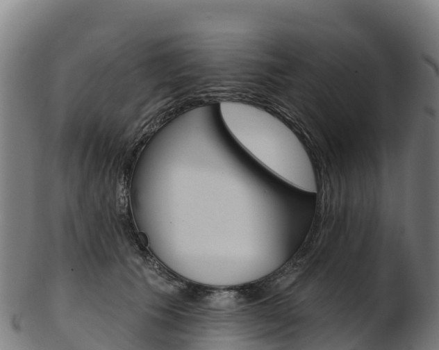 X0000103470609200809121121