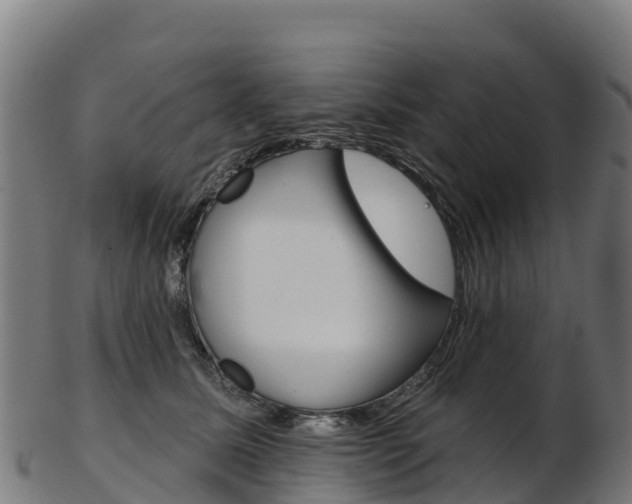 X0000103470611200809121121
