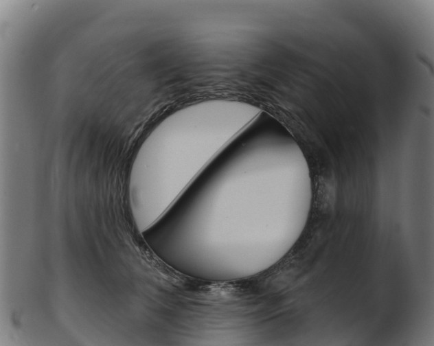 X0000103470612200809121121