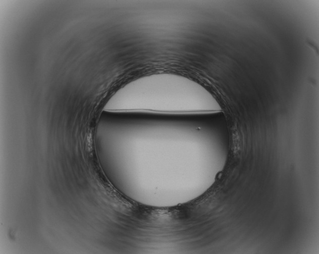 X0000103470613200809121121