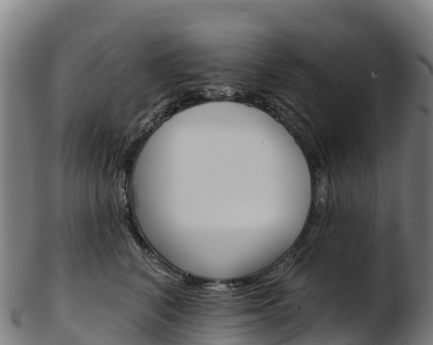 X0000103470616200809121121