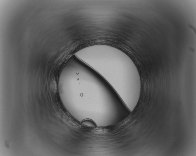 X0000103470617200809121121