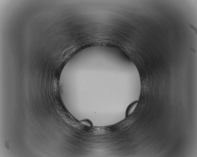X0000103470623200809121121