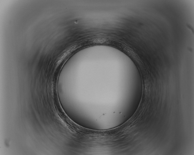 X0000103470626200809121120